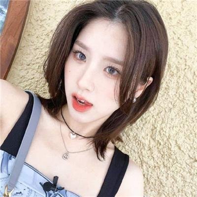 狗狗与我的十个约定